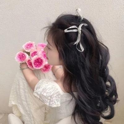 荒江女侠